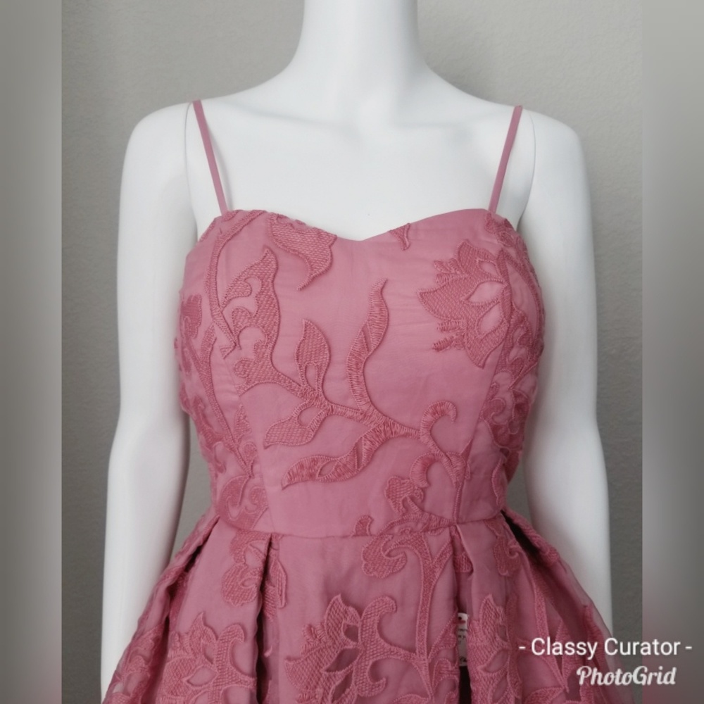NWT Gorgeous rose burnout embroidered mesh dress - Picture 6 of 6